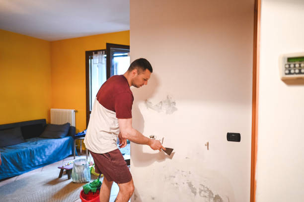 Best Home Mold Removal  in Pelham Manor, NY
